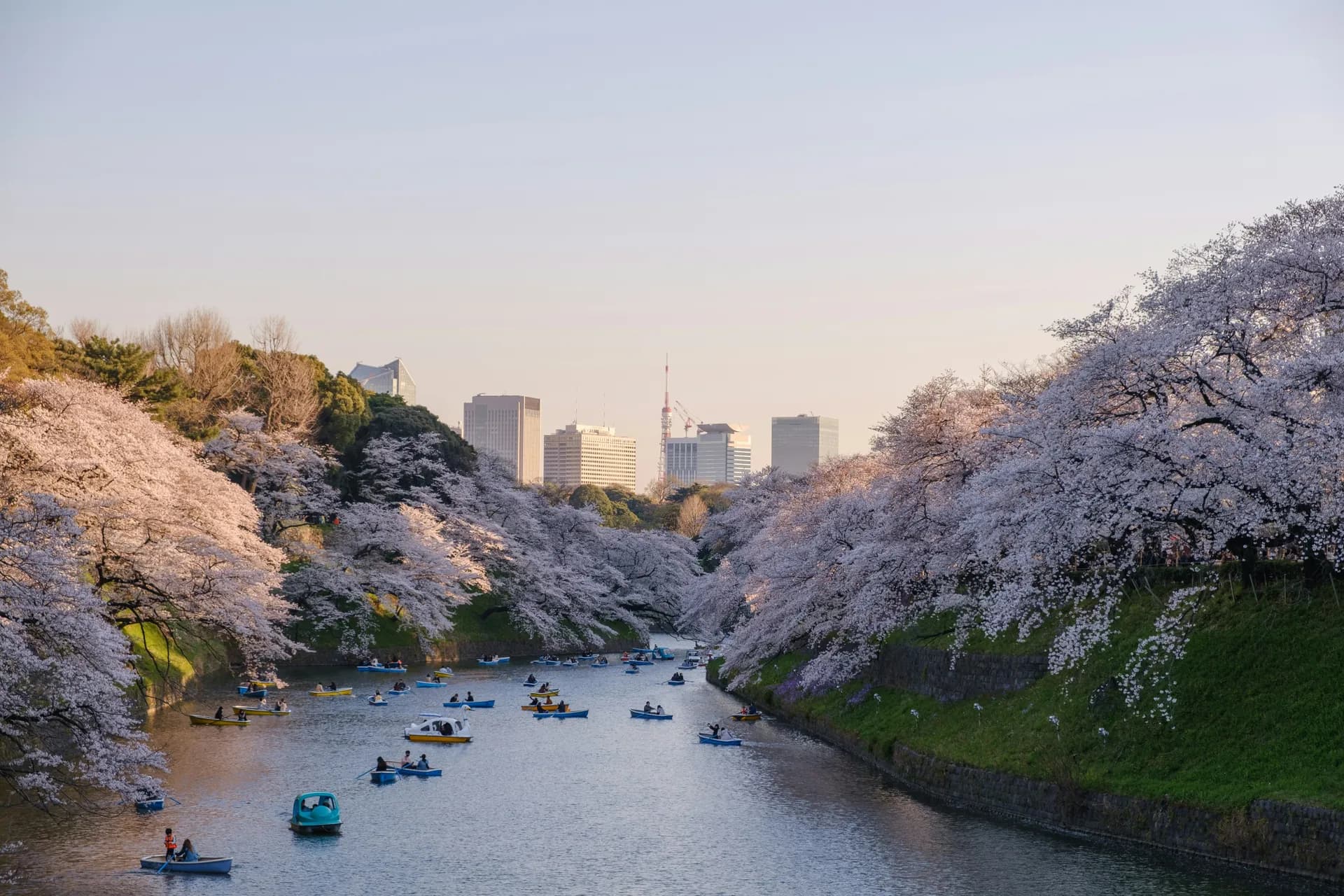 Tour de 11 días desde Tokio hasta Kioto en Octubre - 4