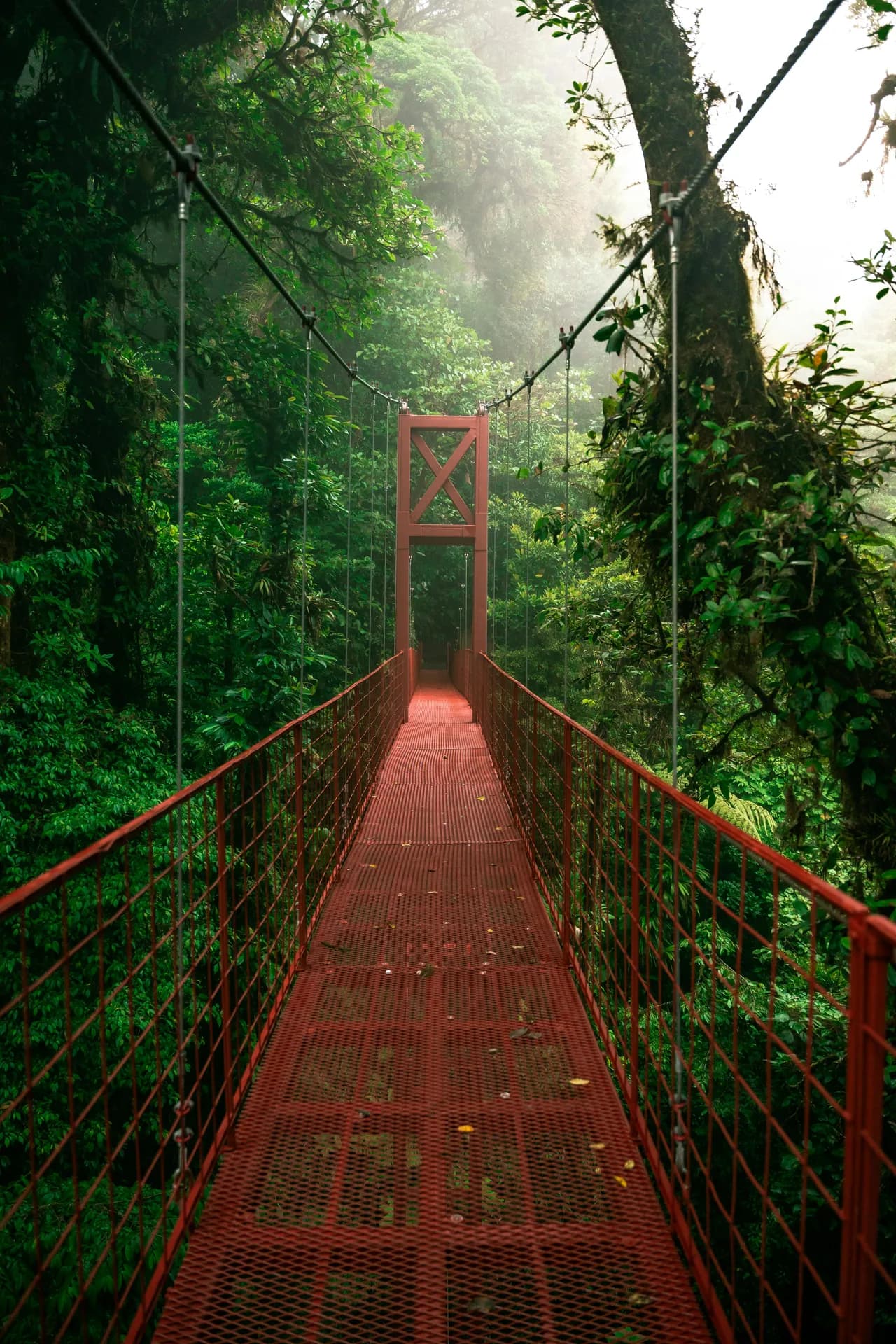 Costa Rica - Open Voucher + Auto - 4