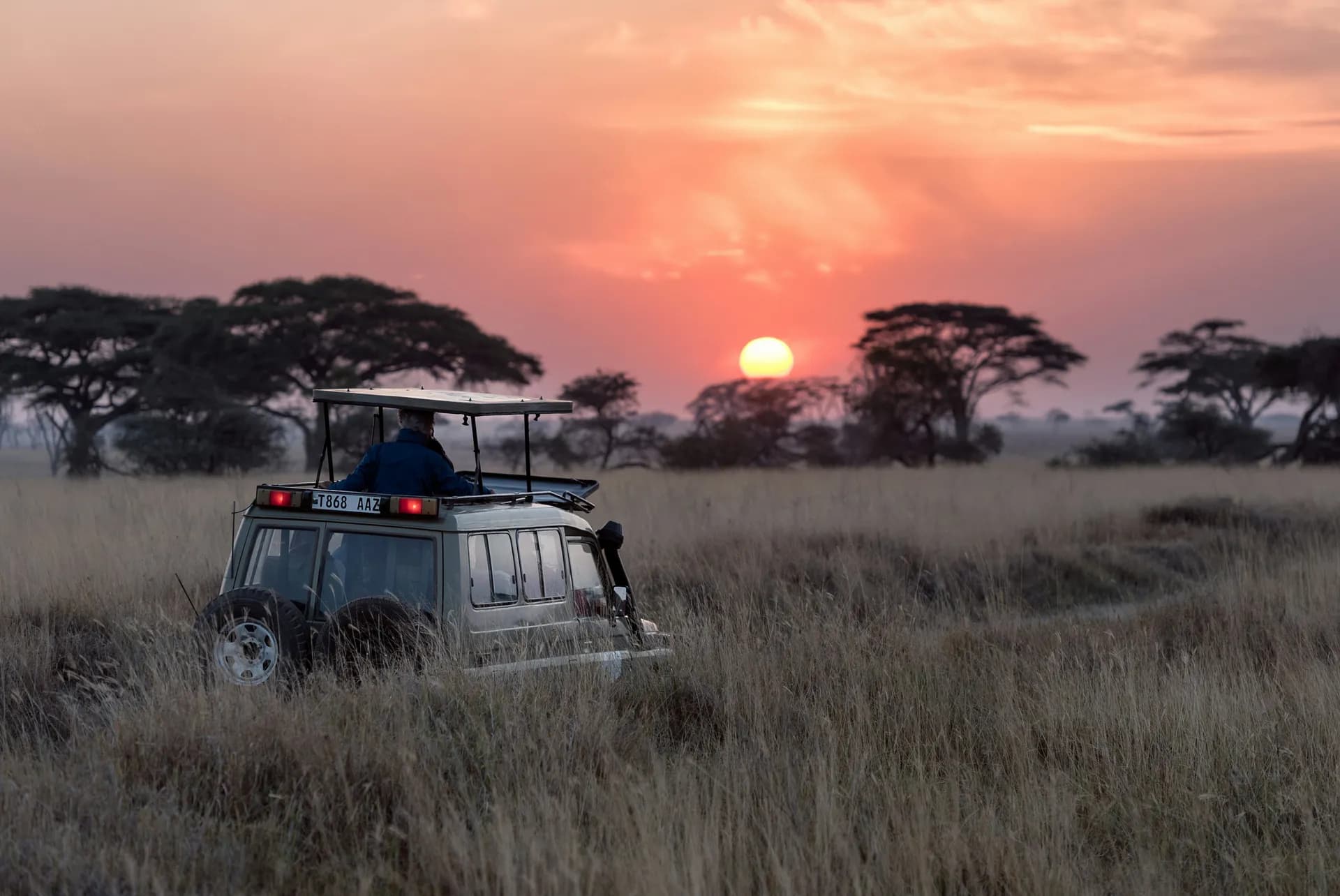 Tanzania Safari & Escape a Zanzibar - 3