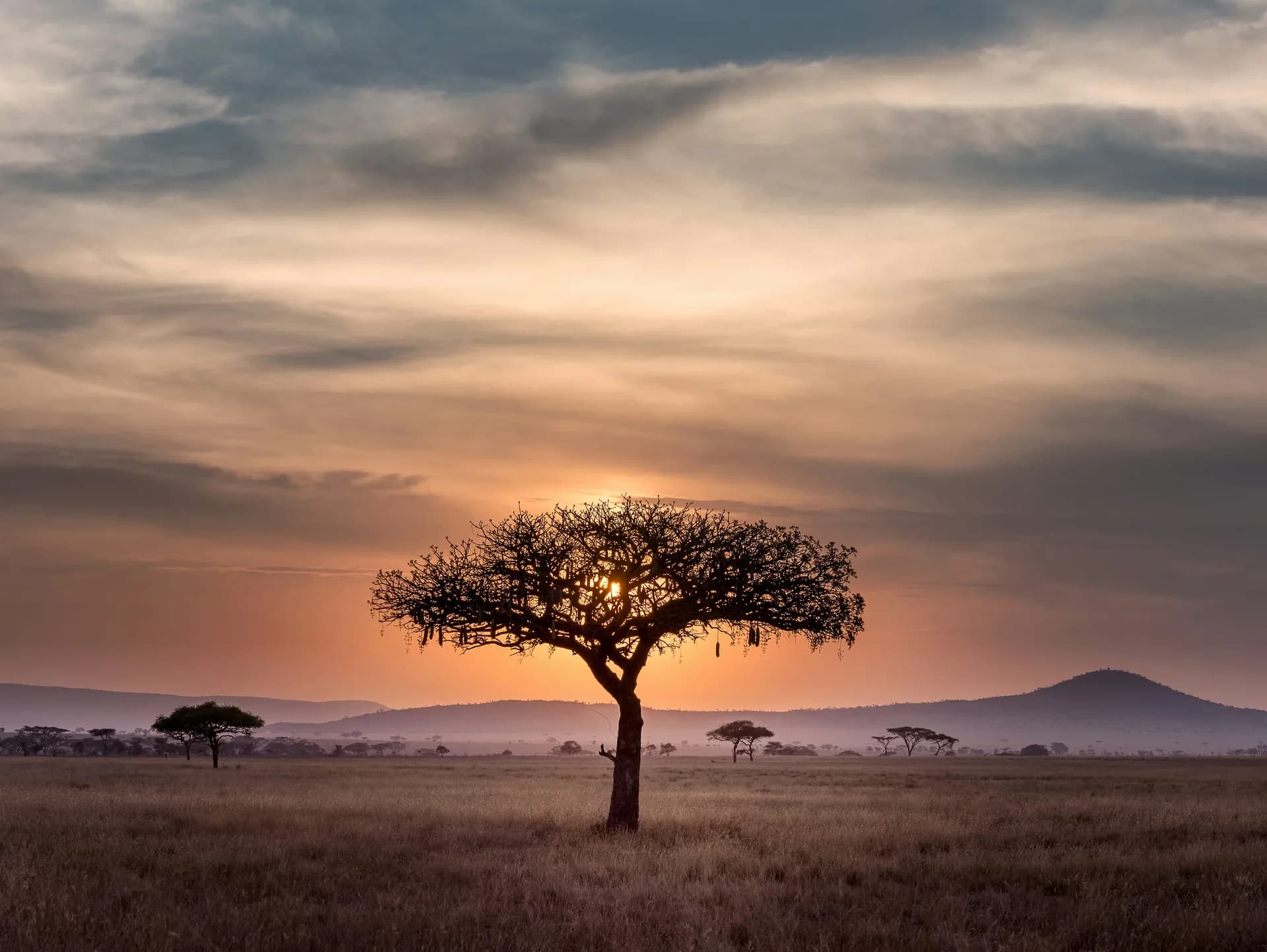 Tanzania Safari & Escape a Zanzibar
