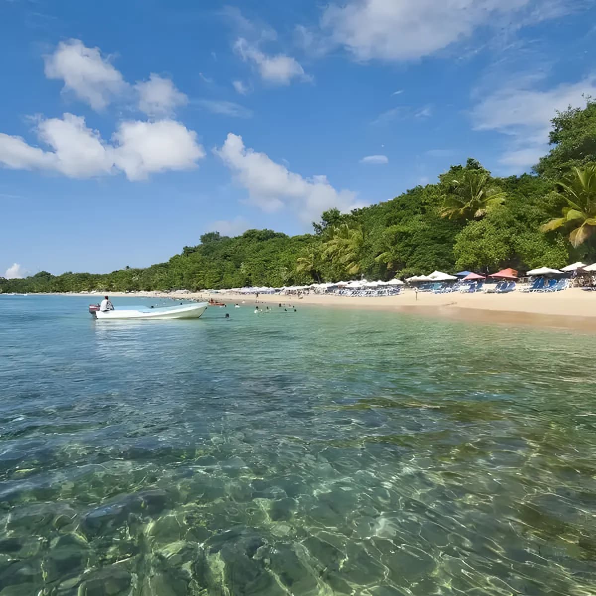 Puerto Plata - 3