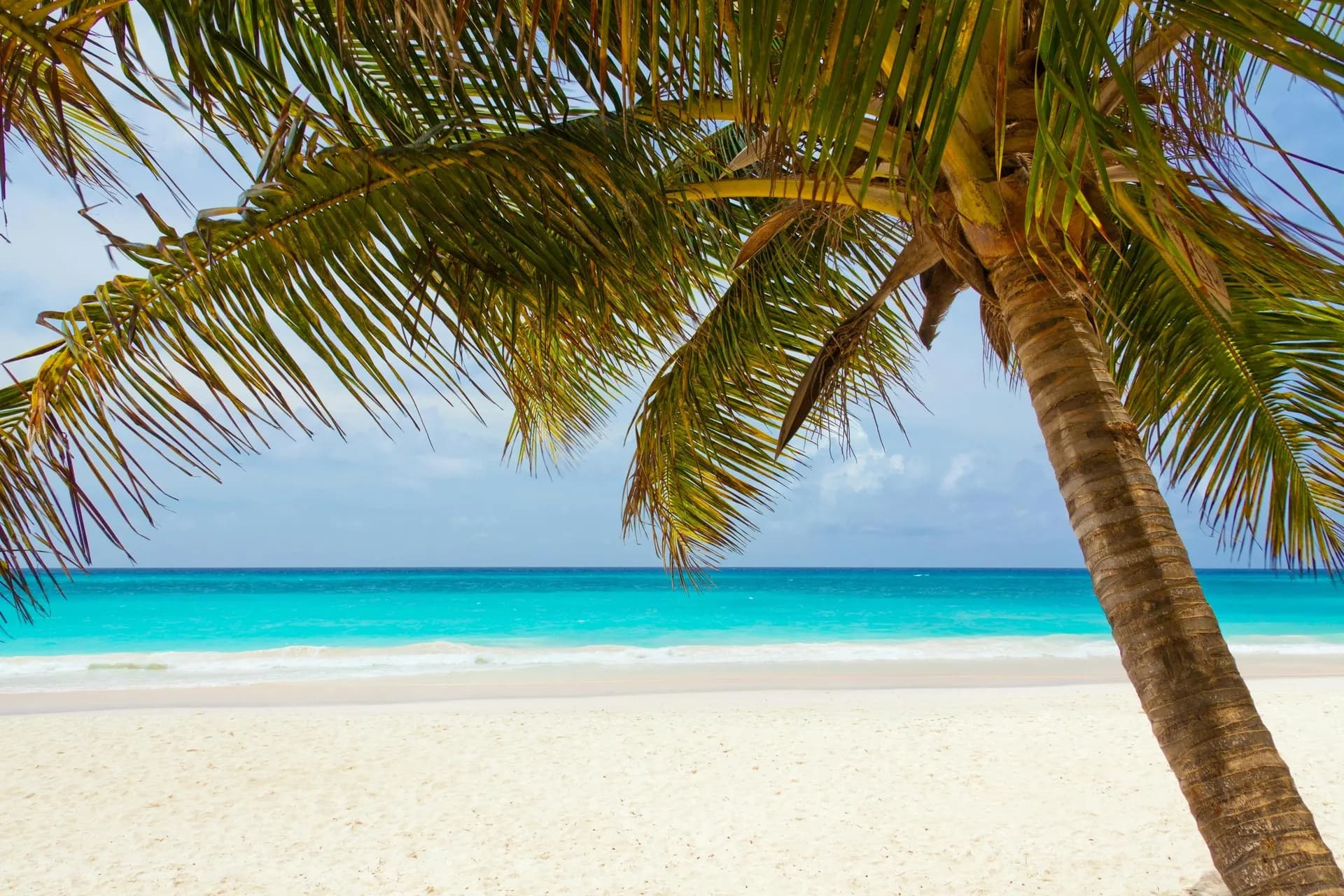 Cancún y Riviera Maya - All Inclusive