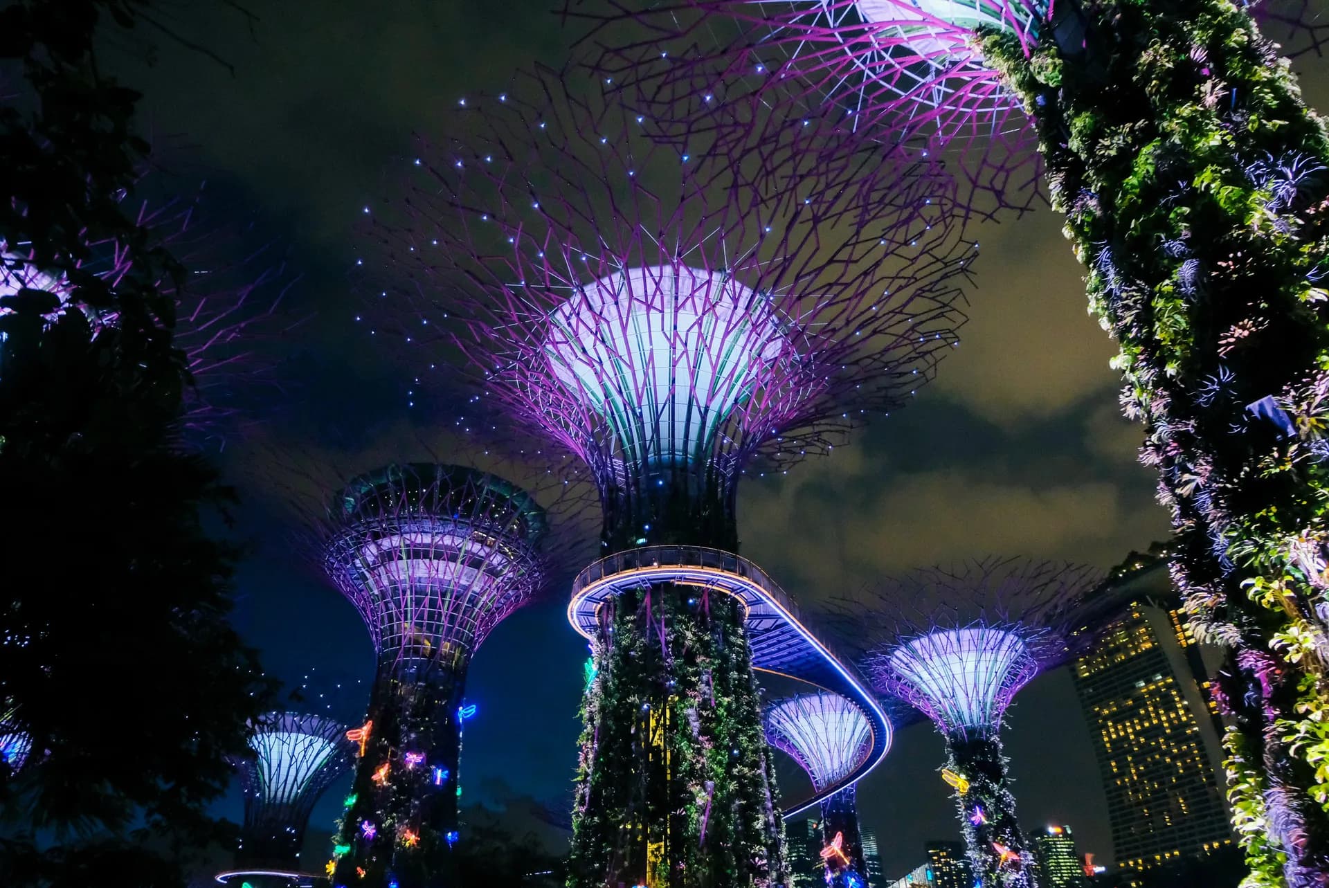 Malasia, Singapur e Indonesia - 3