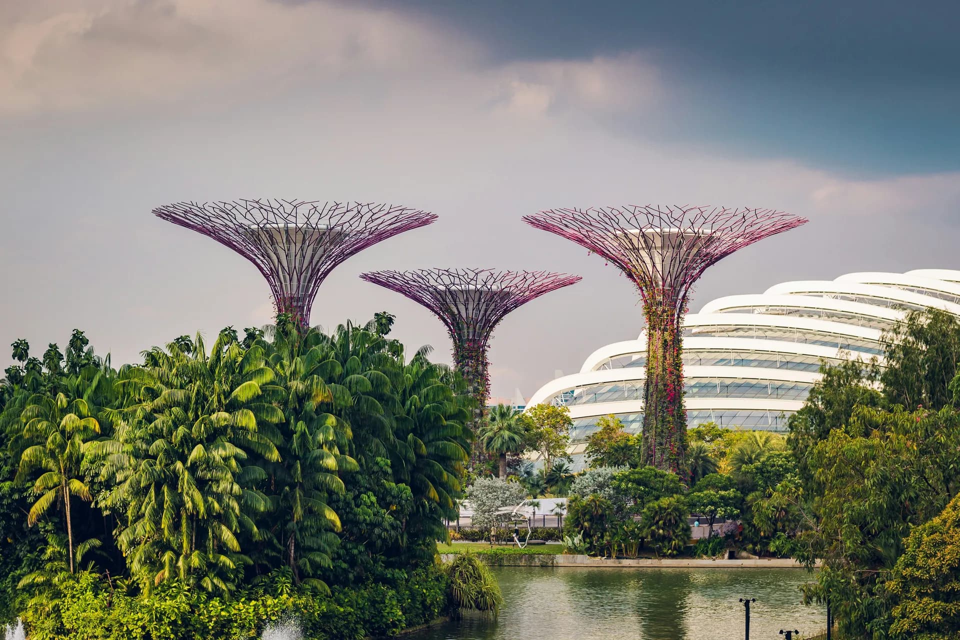 Malasia, Singapur e Indonesia - 5