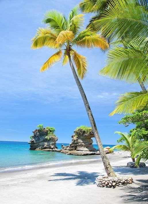 Costa Rica - Open Voucher + Auto - 4