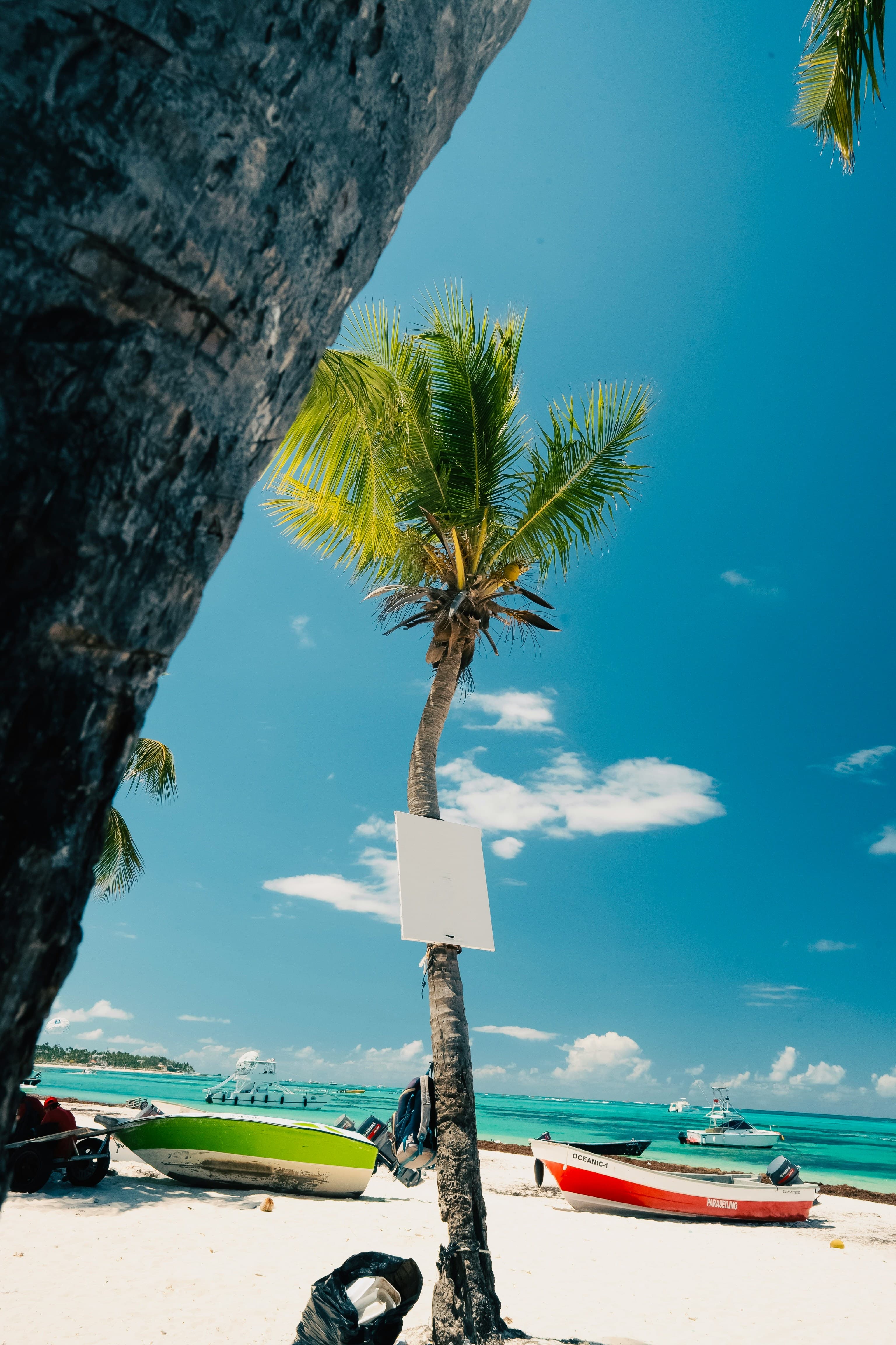 Punta Cana - All Inclusive en Marzo