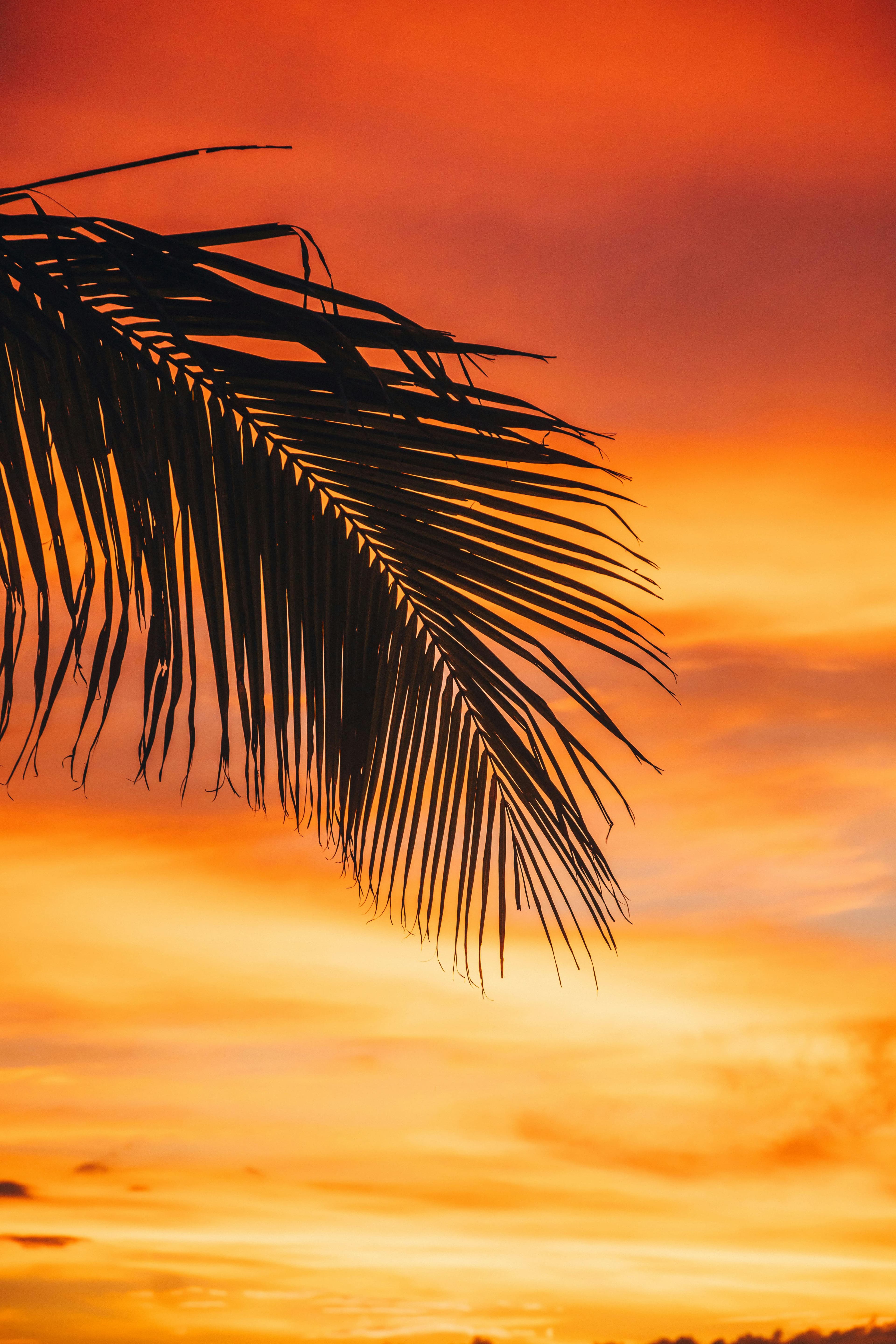 Isla Holbox en Mayo - 3