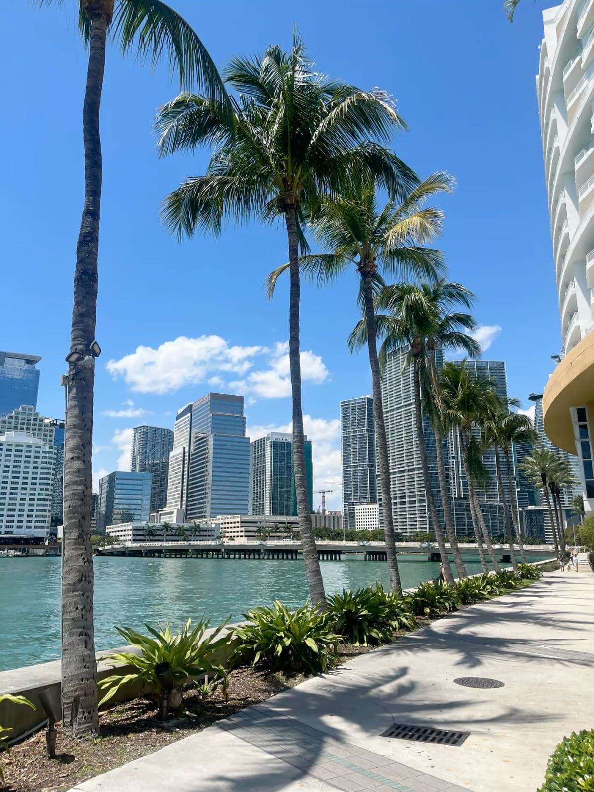ORLANDO & MIAMI - 2