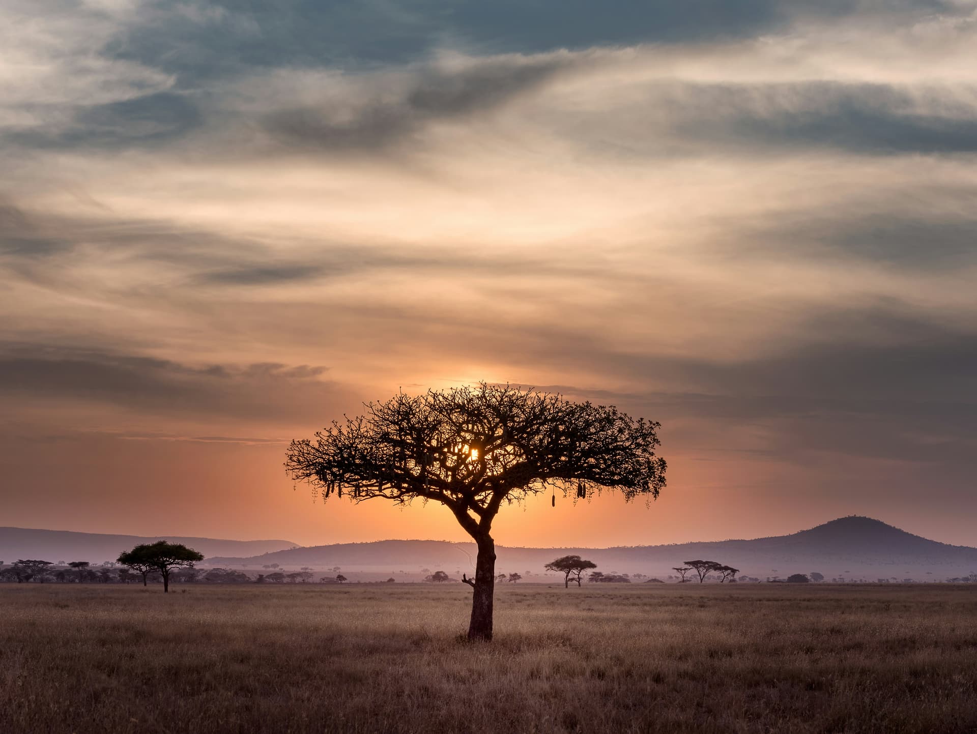 Tanzaniay Zanzibar con tribus en Mayo