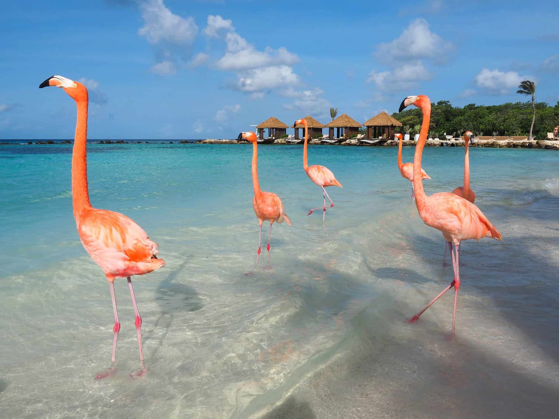 Aruba