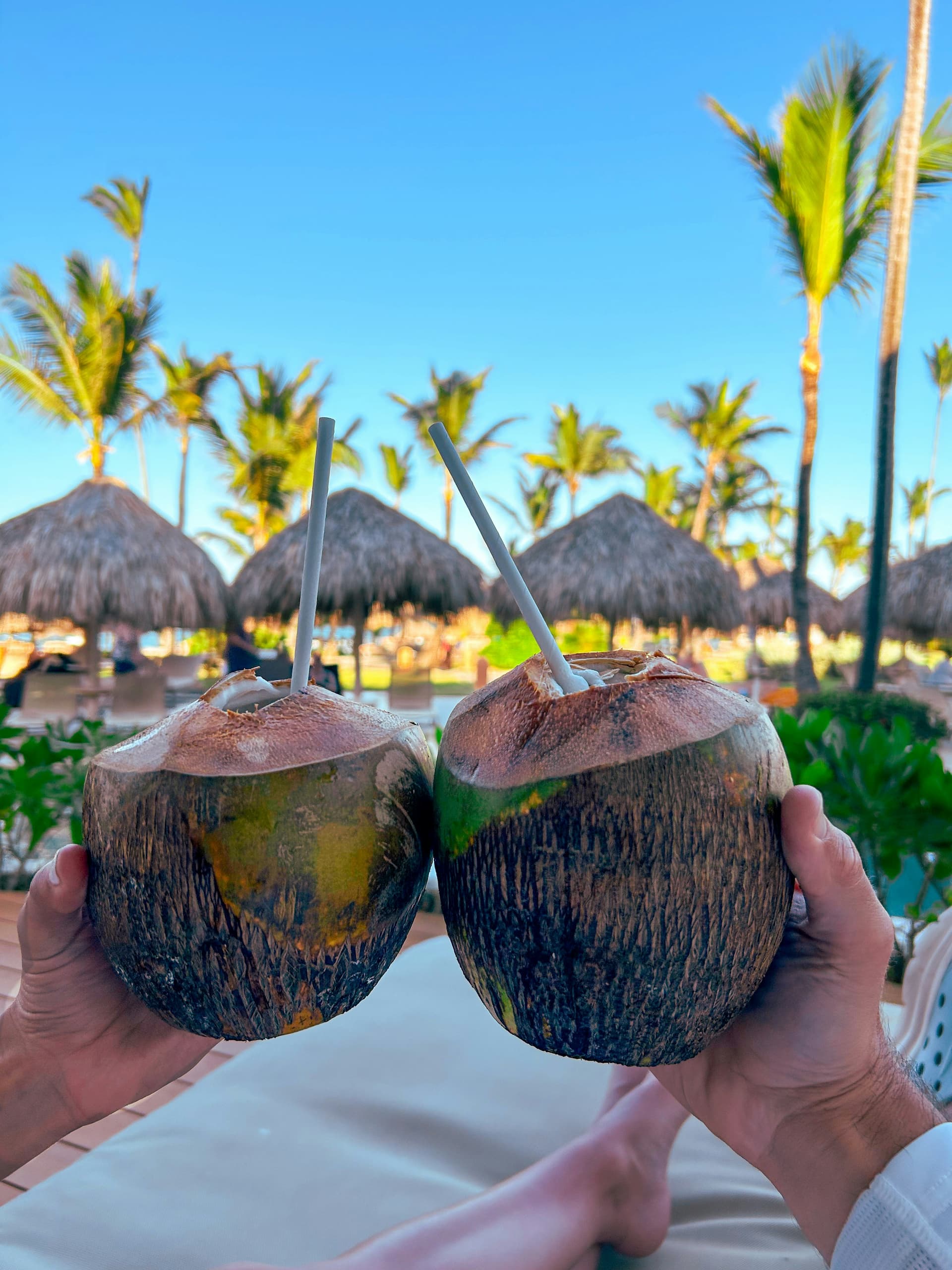Punta Cana - All Inclusive en Mayo - 3