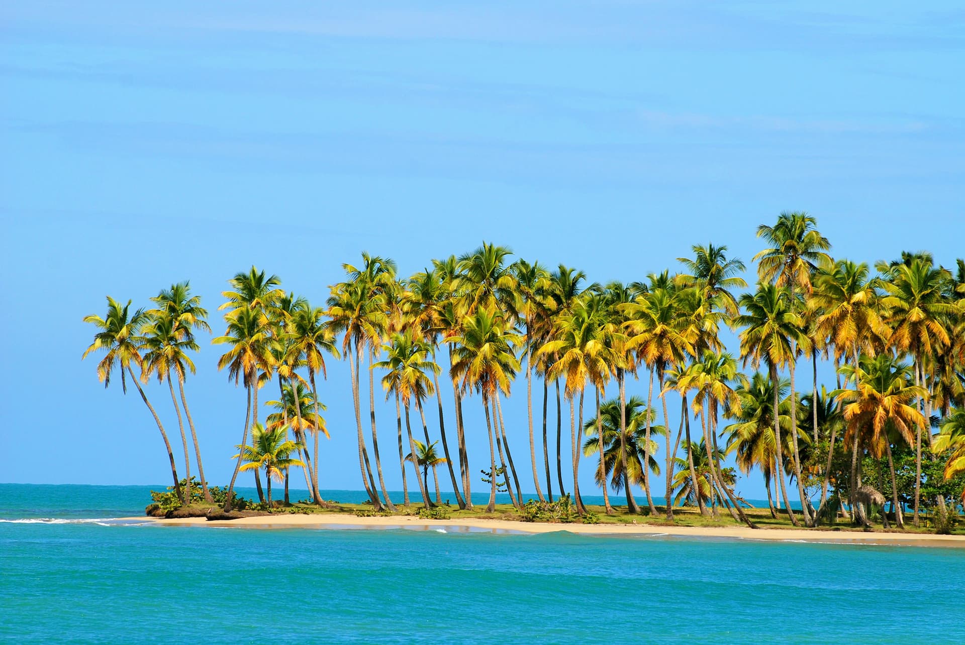 Miches - All Inclusive en Mayo