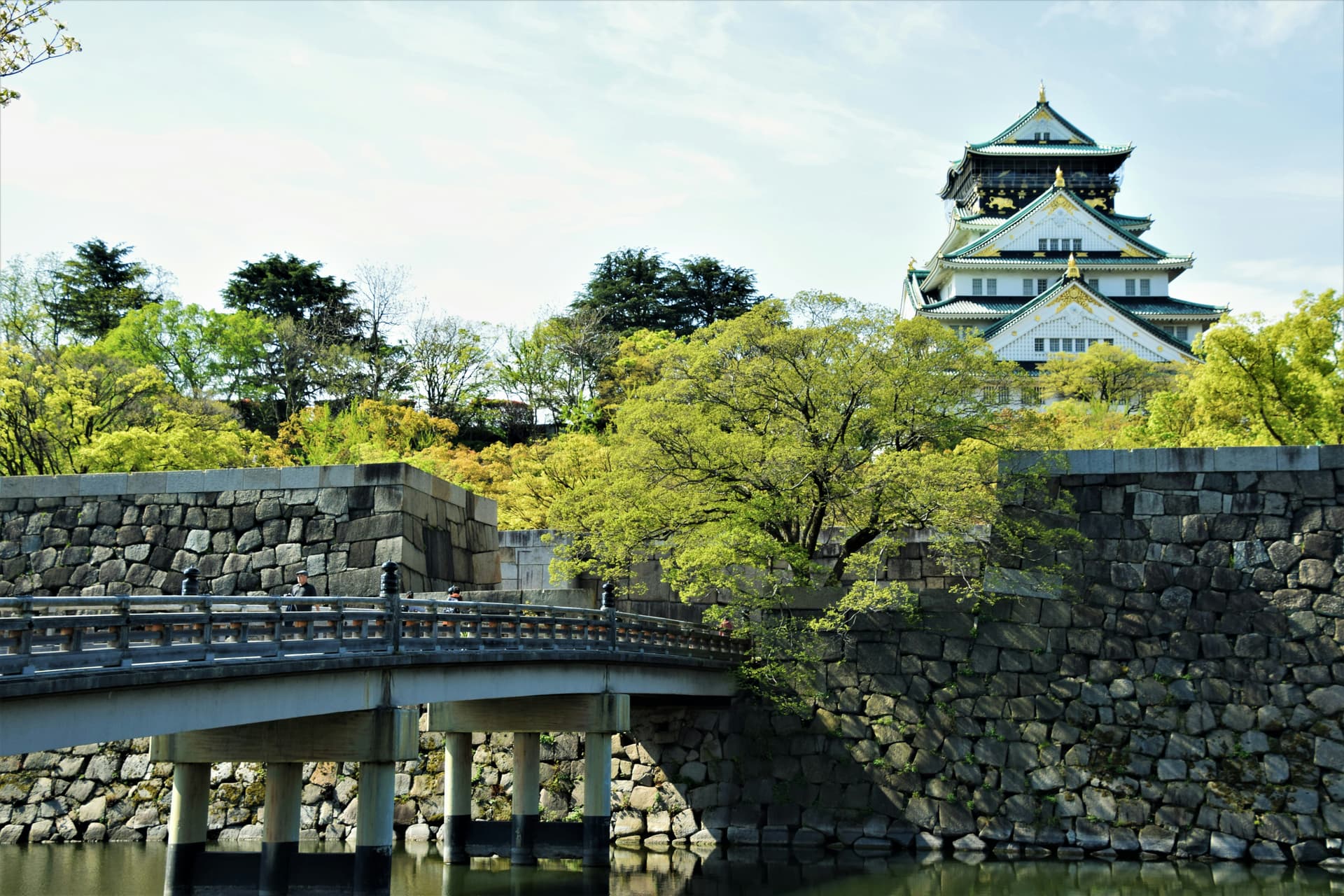 Japón Majestuoso en Mayo - 5