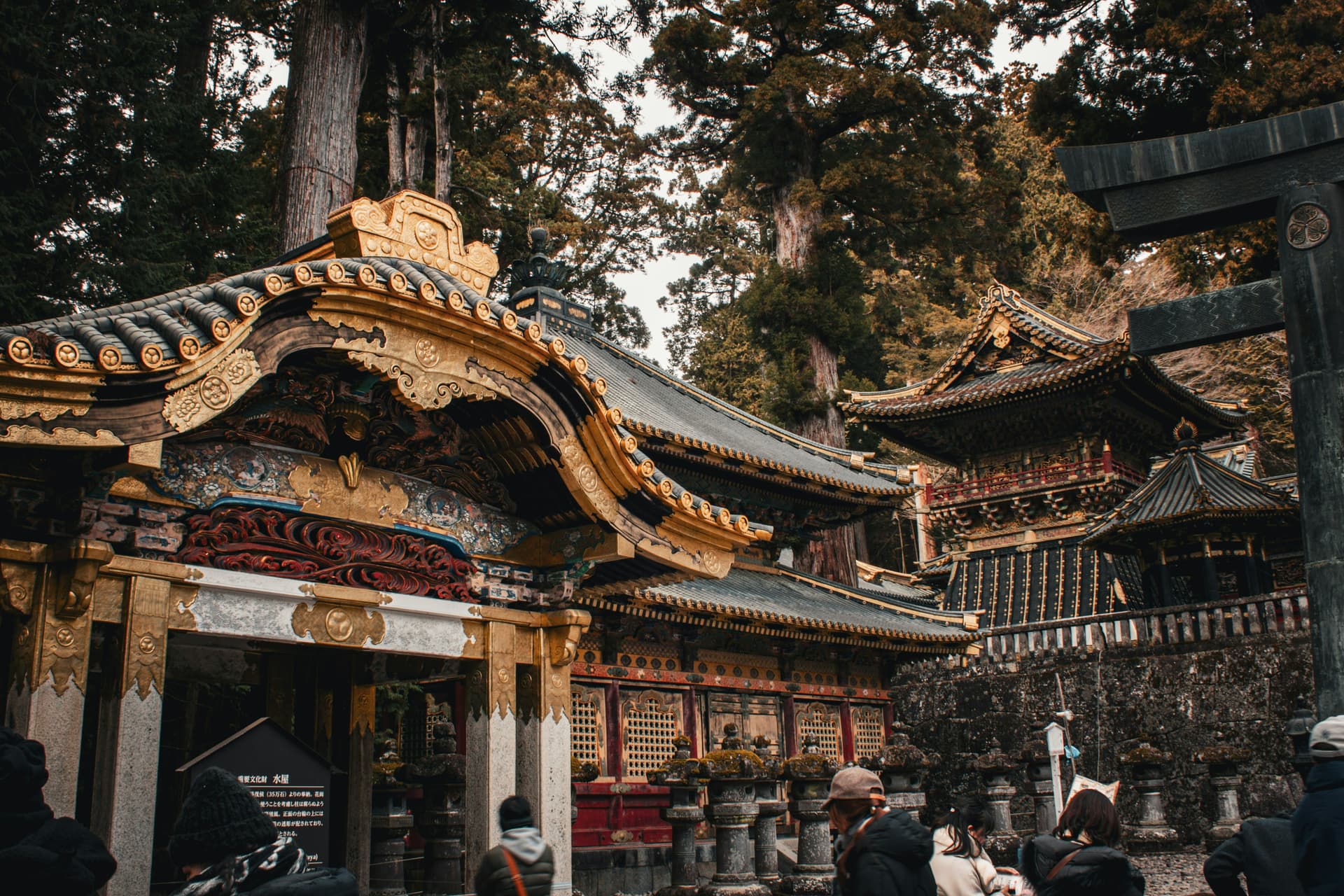 Capitales de Japón en Mayo - 5