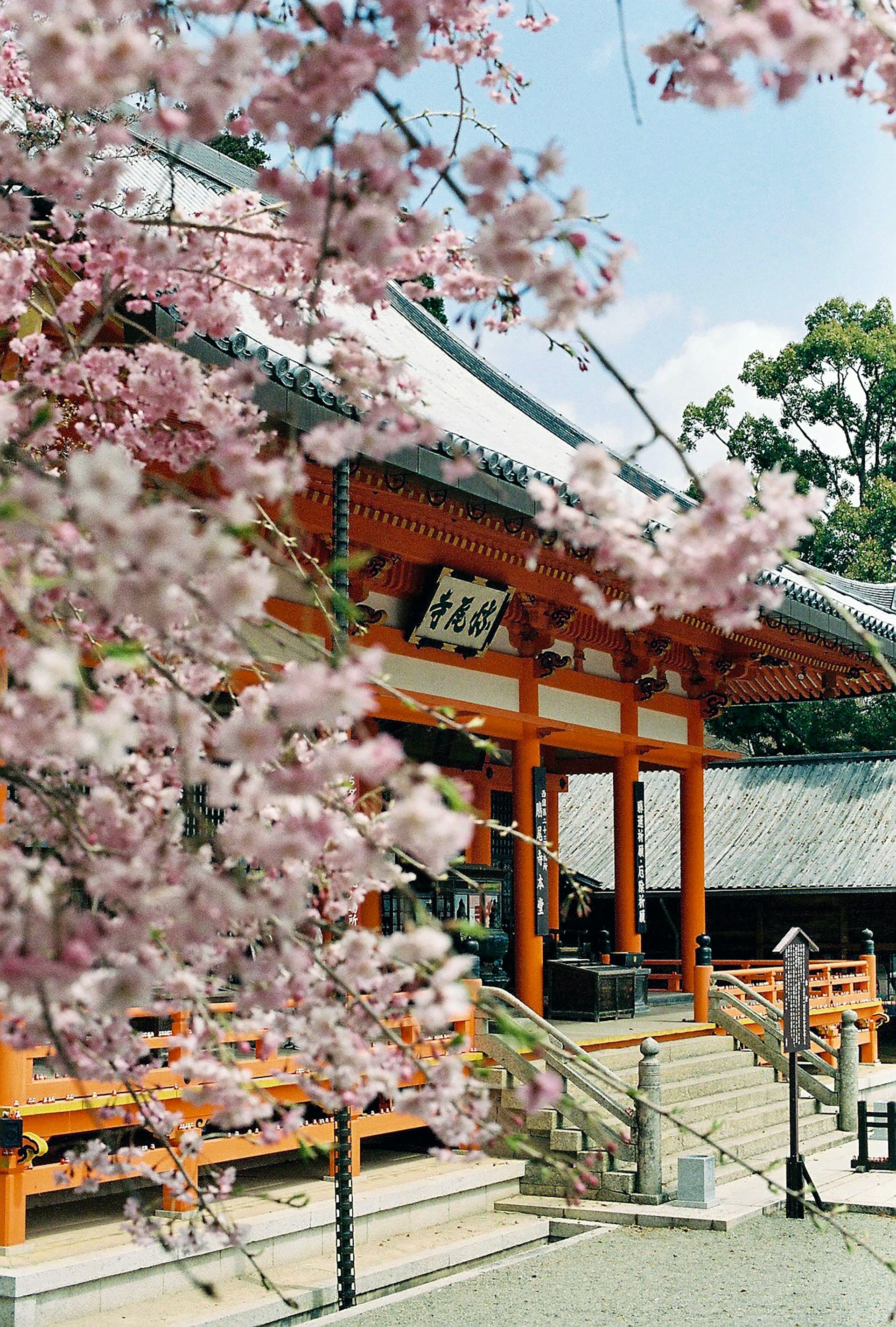 Japón y Dubái en Junio - 2