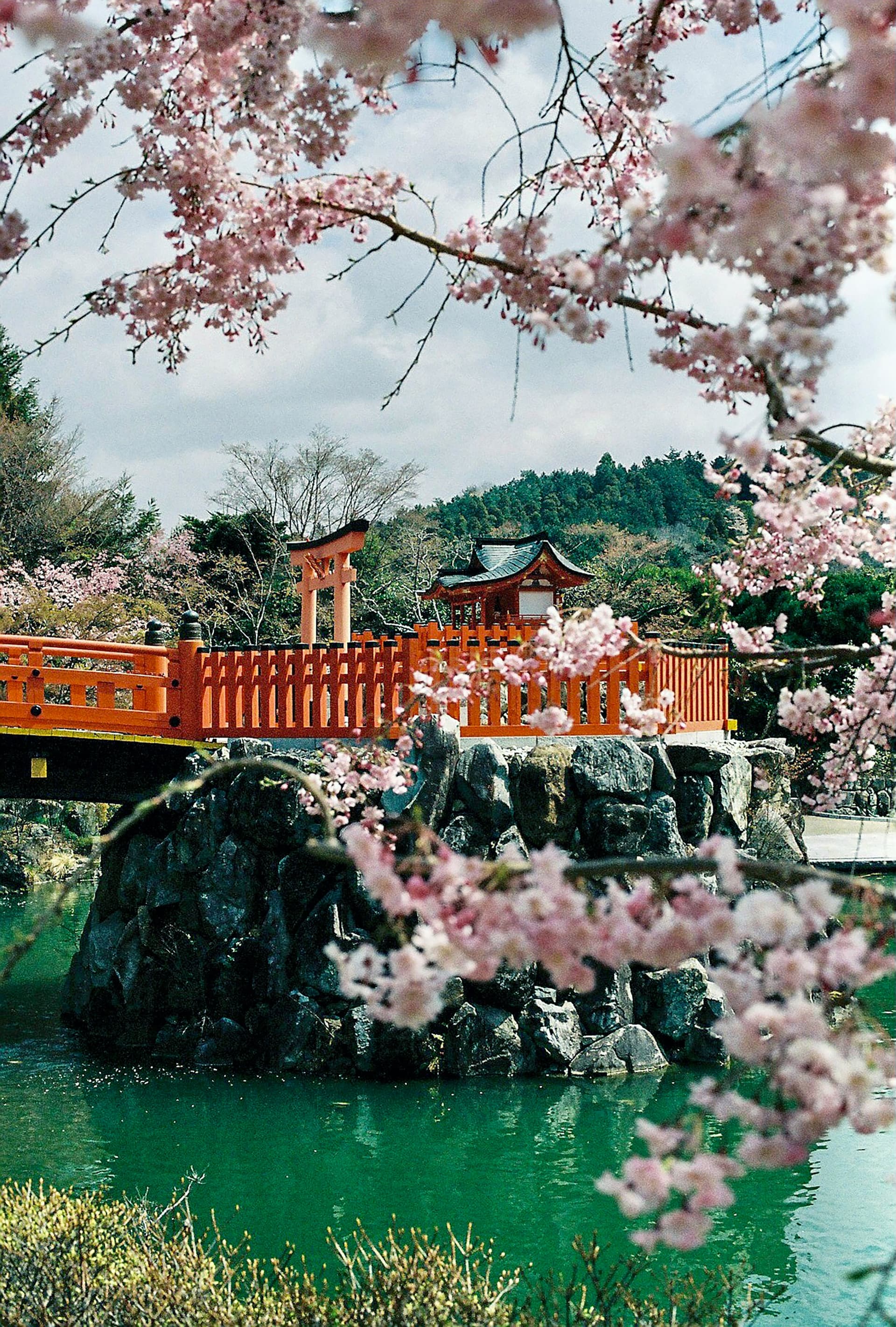 Japón y Dubái en Junio - 3