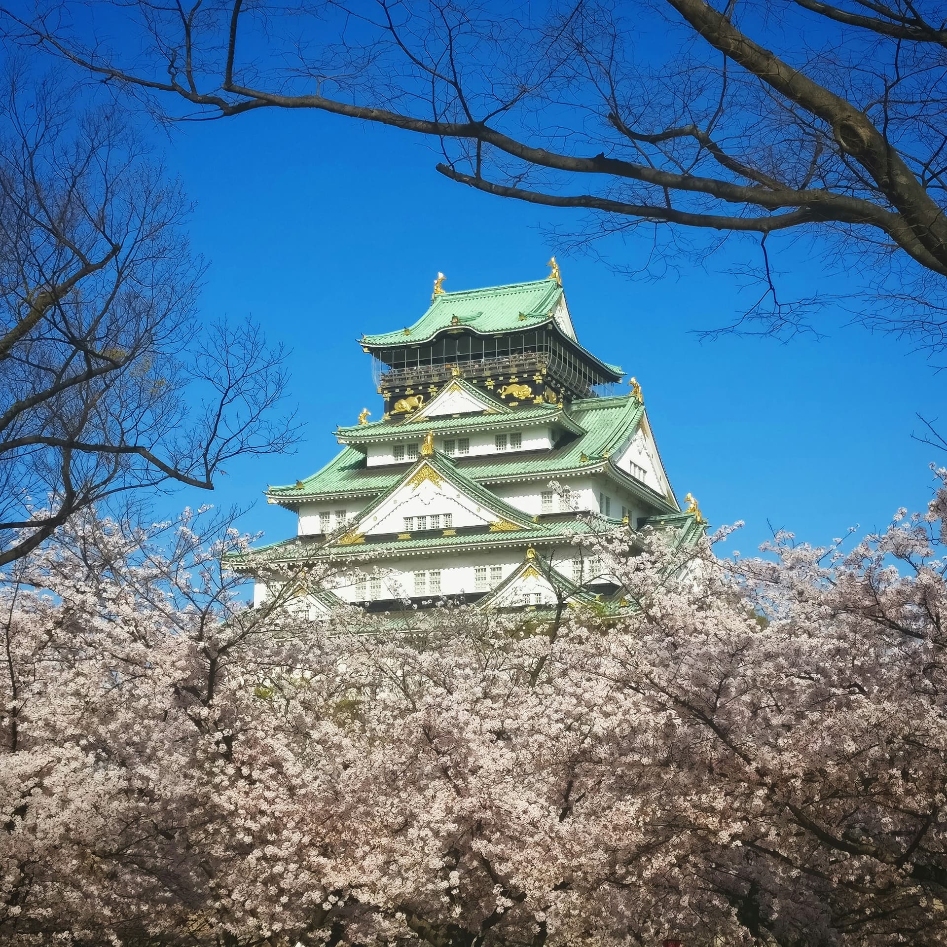 Japón y Dubái en Junio - 5